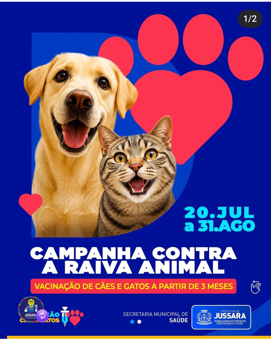 CAMPANHA CONTRA A RAIVA ANIMAL